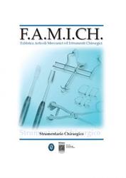 F.a.m.i.ch. S.n.c. di Taldo e Nebbia