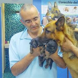Ambulatorio Veterinario "Tasca Lanza" Dott. Fabrizio Di Pietra