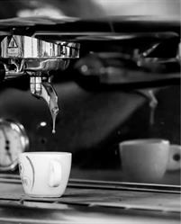 Amazon Counter - CAFFE' LAVIOLA