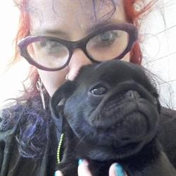 Fido Lindo toelettatura di Simona Savadori