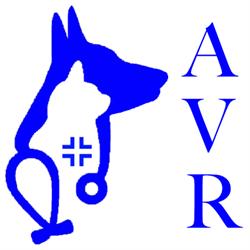 Ambulatorio Veterinario Rosati