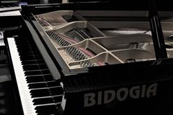 Casa Musicale Bidogia Antonio