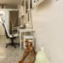 Gallery Professionale