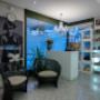 Gallery Professionale
