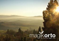 Magikorto S.r.l.s. Prodotti Tipici e Biologici