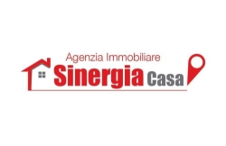 Remax asinergia