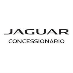 Jaguar Soluzione