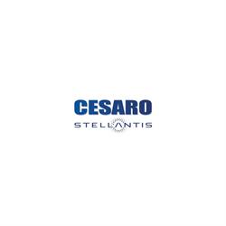 Cesaro Giuseppe