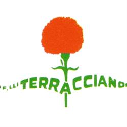 Fratelli terracciano srl