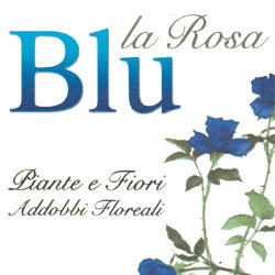 La Rosa Blu