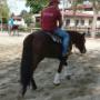 Associazione Equestre