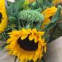 Girasoli