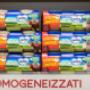 Gallery Professionale