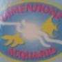 Dimensione Acquario