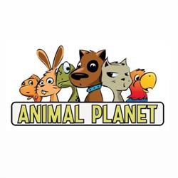 Animal Planet Bacoli - Pet Shop & Toelettatura