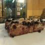 Lievitazione