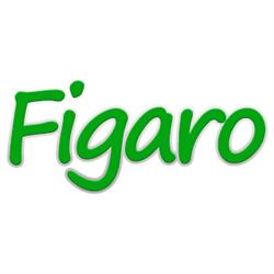 Toelettatura Animali Figaro