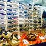Scarpe