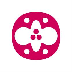 Latticini Orchidea