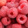 Frutta