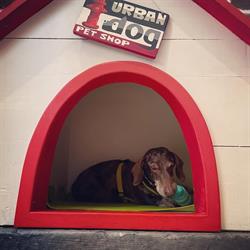 Urban Dog Petshop