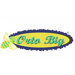 Orto Big