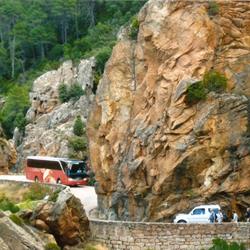 Viaggi Canelli - Noleggio Bus