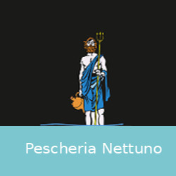 Pescheria Nettuno