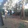 Appartamento a Castiglioncello