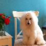 Foto6