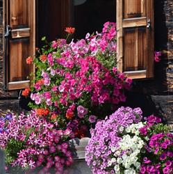 Piccola Baita - Casa Caribe Livigno