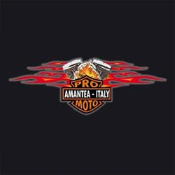 Pro-moto (ITALY)
