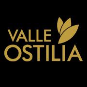 AZIENDA AGRICOLA VALLE OSTILIA