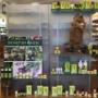 Farmacia
