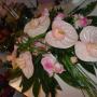 Fiori per Funerali