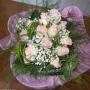 Fiori Freschi