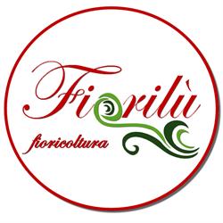 Fiorilu'