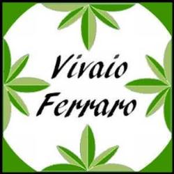 Ferraro Donatella