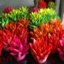 Vendita Fiori