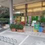 Supermercato