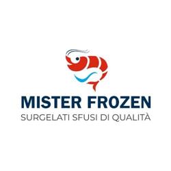 Mister Frozen