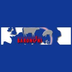 Edm Baroncini Srl