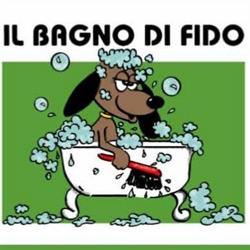 Toelettatura Il Bagno di Fido