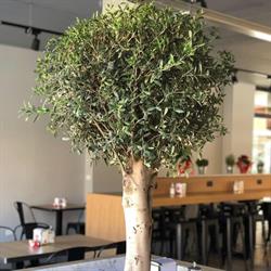 Ristobar Pizzeria Le Serre