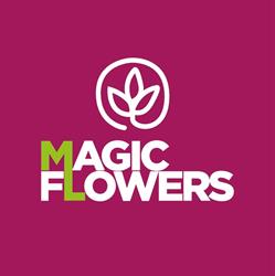 Magic Flowers