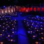 Evento Unicredit
