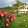 Agriturismo Villa Fonte Regina