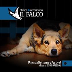 Clinica Veterinaria Il Falco