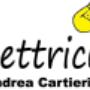 L'Elettrico