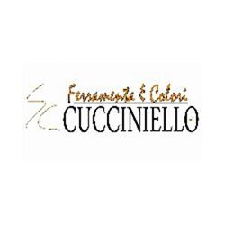 Ferramenta e Colori Cucciniello